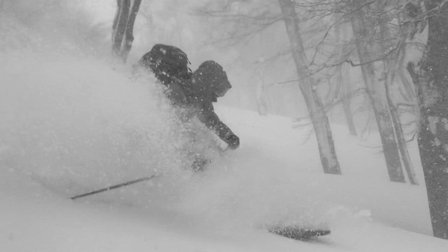 テレマークパウダー