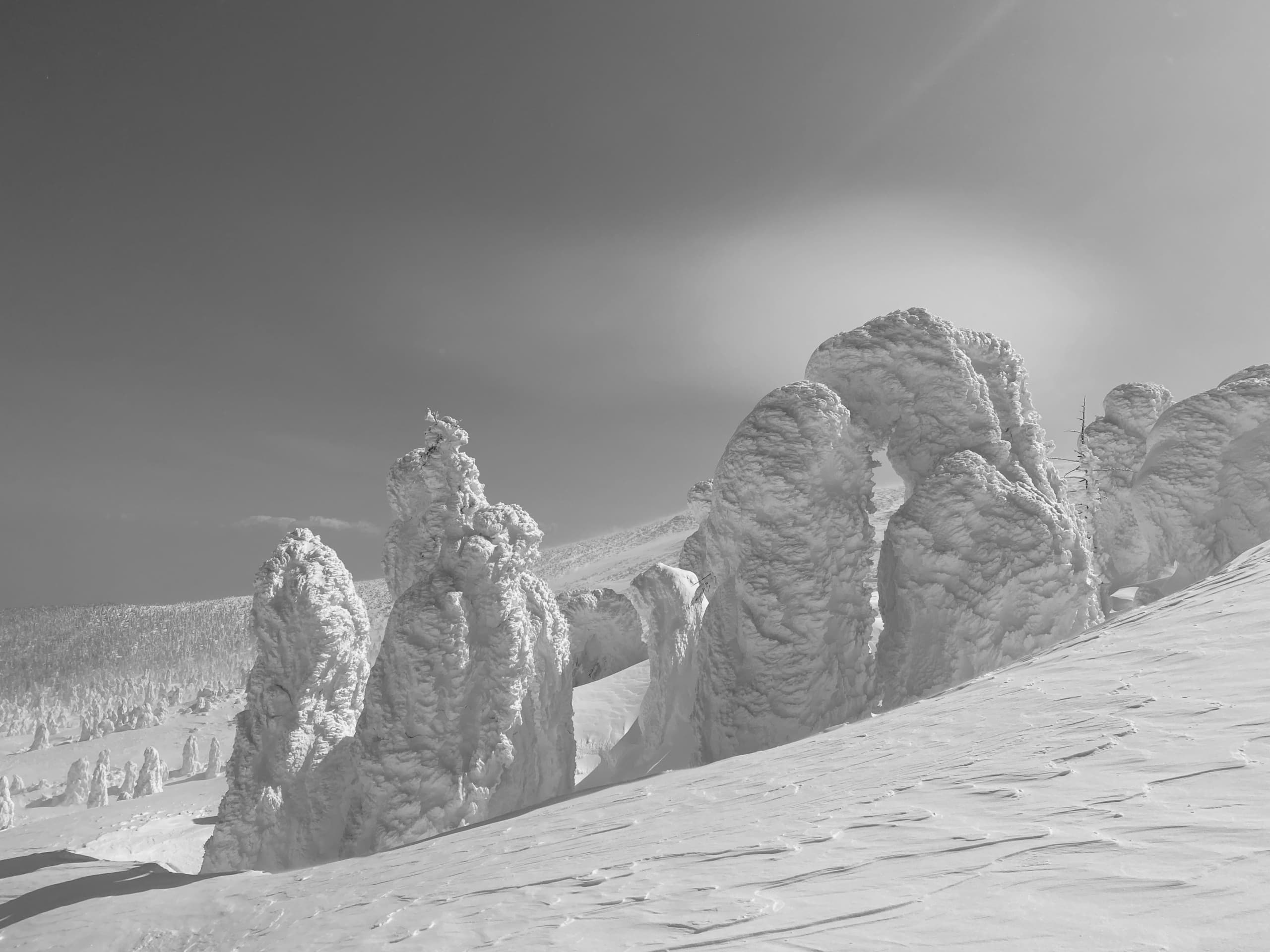 地蔵岳の樹氷
